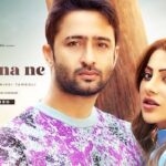 Ek Haseena Ne Lyrics – Ramji Gulati